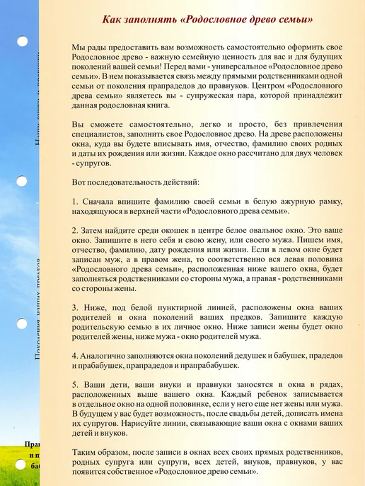 Evgenius-M Родословная книга "Мудрость" картон, красный, фото 7