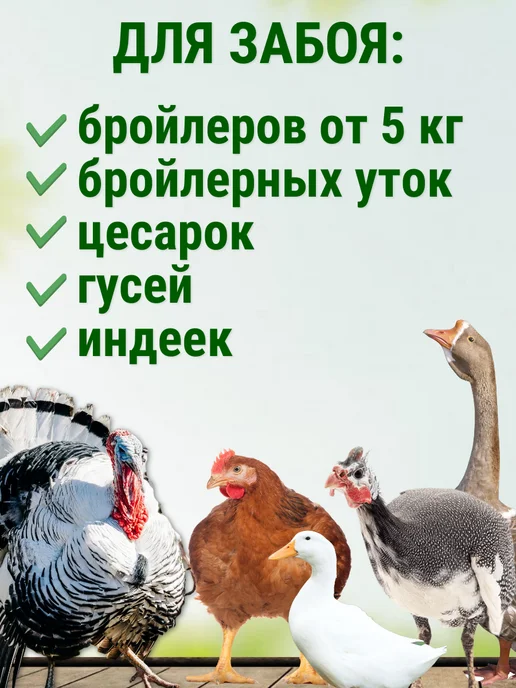 Подворье Конус для забоя гусей, индеек Люкс, серый, фото 3