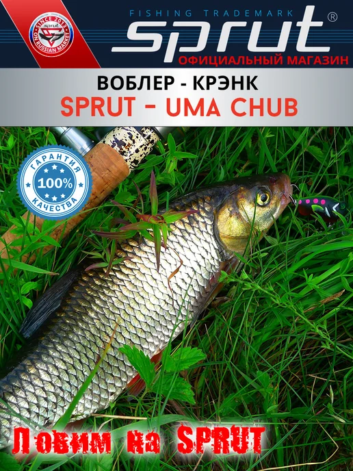 Sprut Воблер Uma Chub 38F GDN1, синий, фото 4
