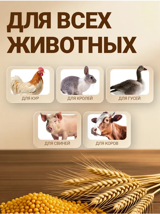BullDog Зернодробилка электрическая для зерна 410 кг ч 3 СИТА, 410 кг, фото 2
