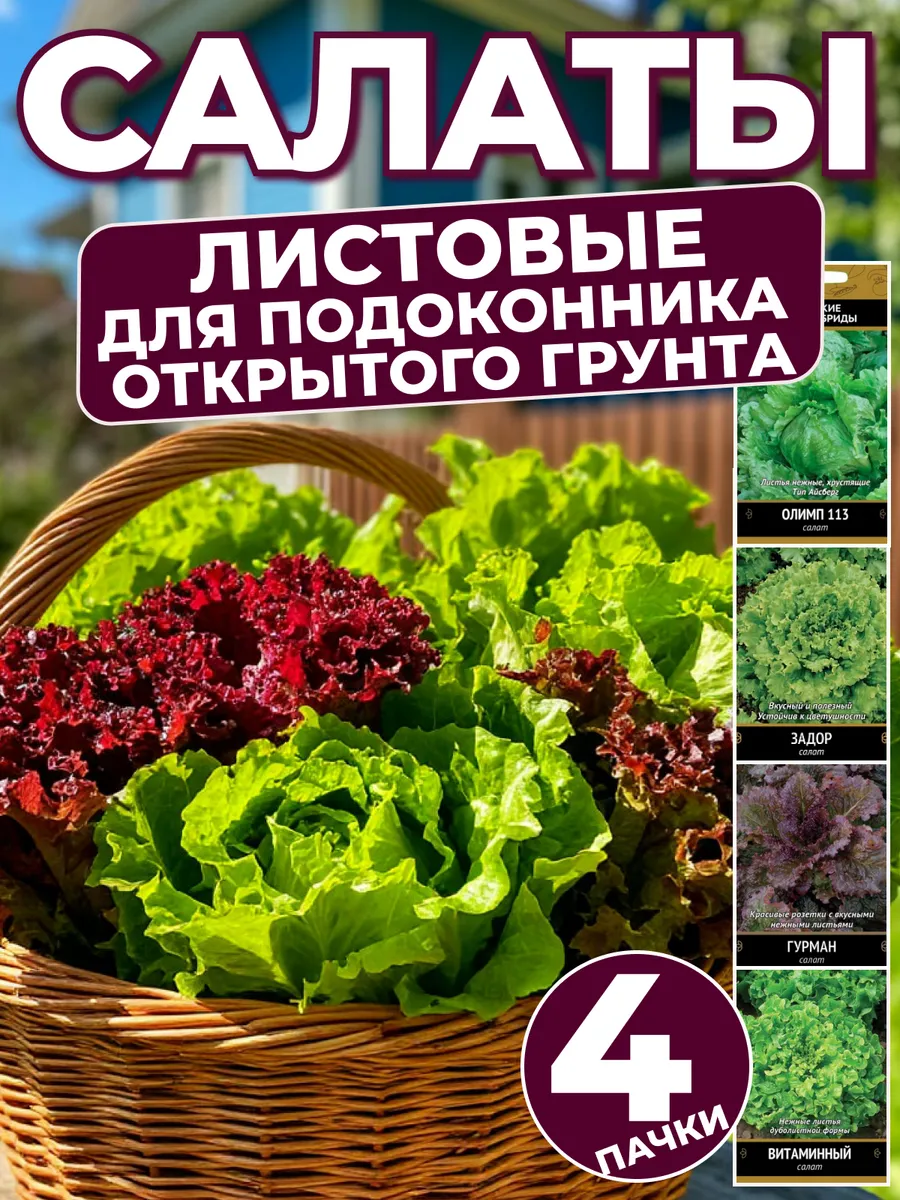 Семена Салата Листовые