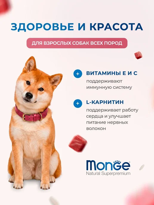 Сухой корм MONGE Dog Speciality для собак, говядина, 12,3 кг, фото 2