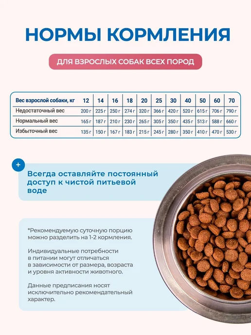 Сухой корм MONGE Dog Speciality для собак, говядина, 12,3 кг, фото 7