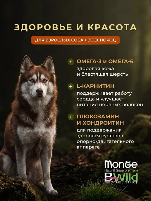 Сухой корм MONGE Dog Bwild для собак, беззерновой, взрослые, 12,3 кг, фото 2