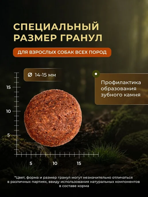 Сухой корм MONGE Dog Bwild для собак, беззерновой, взрослые, 12,3 кг, фото 4