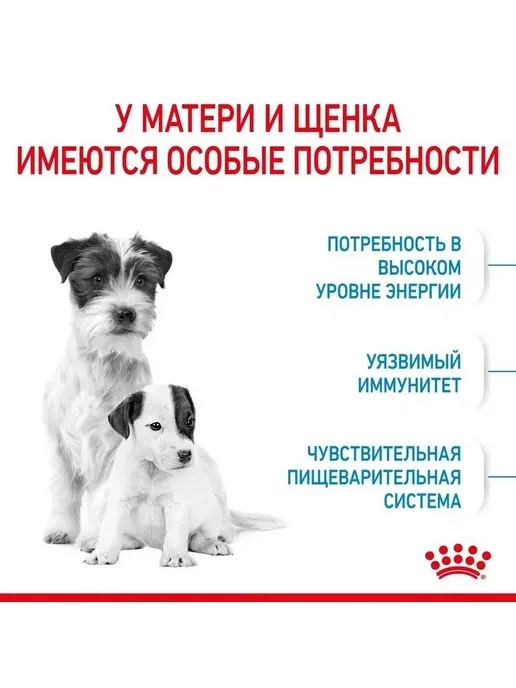 Сухой корм Royal canin Starter Стартер для собак, мелкие, щенки, 1 кг, фото 5