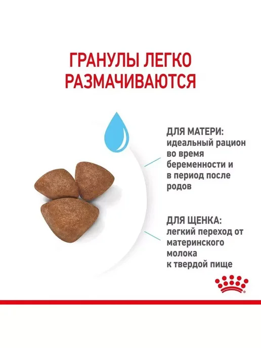 Сухой корм Royal canin Starter Стартер для собак, мелкие, щенки, 1 кг, фото 7