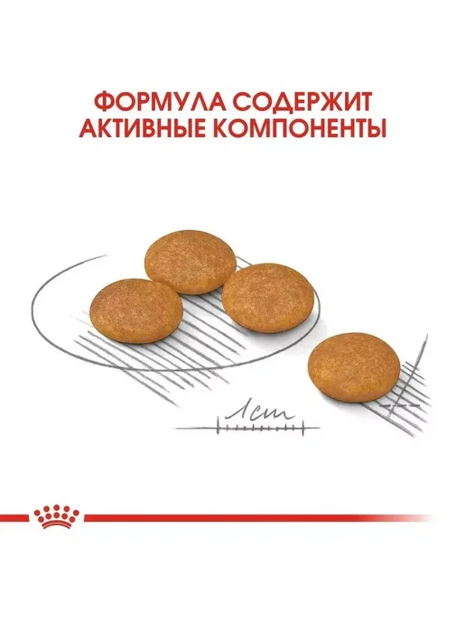 Сухой корм Royal canin Dermacomfort Дермакомфорт для собак, взрослые, мелкие, 1 кг, фото 7