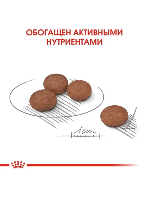 Сухой корм Royal canin Digestive Care для собак, взрослые, мелкие, 1 кг, фото 6