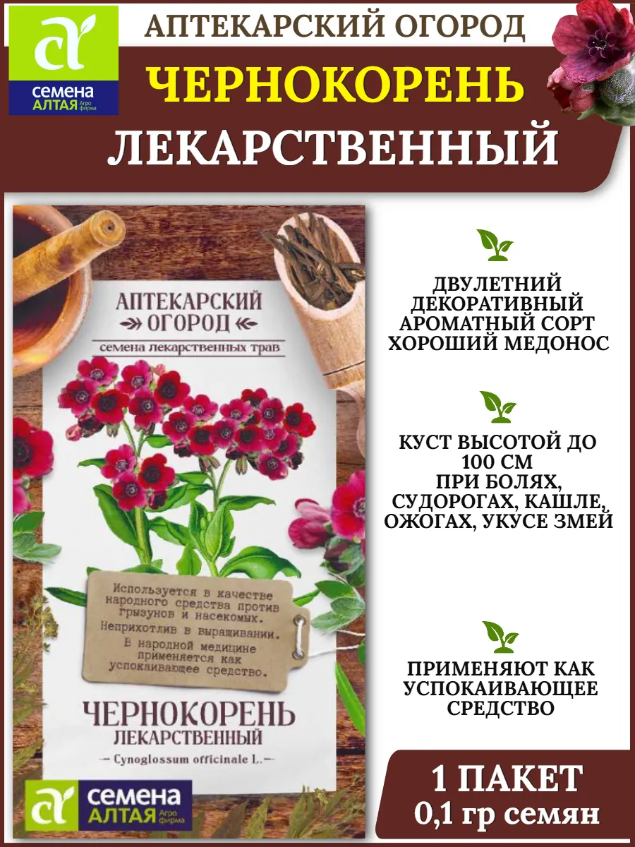 Семена Чернокорень ЛЕКАРСТВЕННЫЙ - 1 пакет