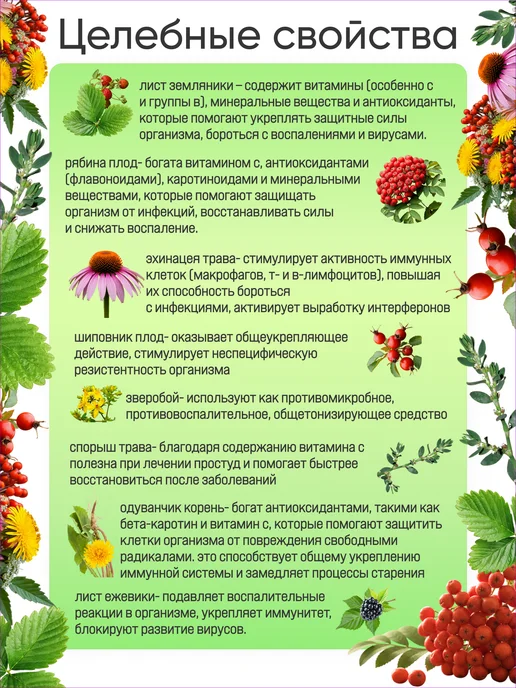 Чаи Кавказа Сбор иммунный с эхинацеей, вариант, фото 3