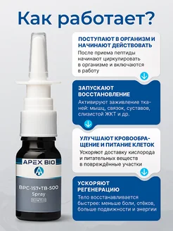 bpc 157 for neck pain Пептид BPC 157 + TB 500 Спрей 10 mg (БПС 157 + ТБ 500) Apex Bio, для  заживления ран, желудка, суставов и связок 556910063 купить за 5433 ₽ в  интернет-магазине Wildberries