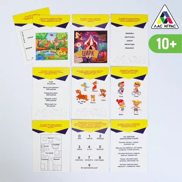 Развивающая игра-головоломка «Память на 100%», 10 карточек