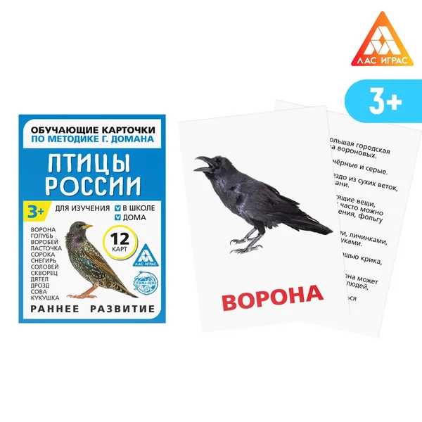 Обучающие карточки Птицы России