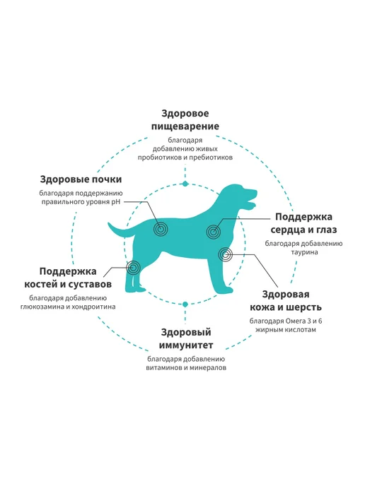 Сухой корм Grandorf' Fresh для собак, крупные, средние, утка, 10 кг, фото 5