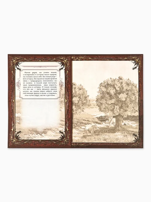 Simaland Родословная книга «Древо», 56 листов, 16,5 х 24 см, 16.5x24 см, фото 4