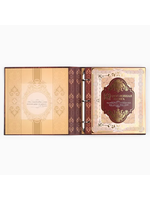 Simaland Родословная книга с рамкой под фото Родословная книга, коричневый, фото 4