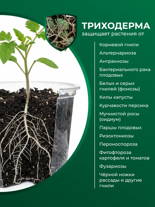 БашИнком Фитоспорин АС для обработки теплиц и растений, 500 мл, фото 6
