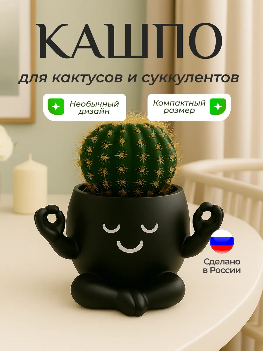Горшок для цветов кактусов и суккулентов