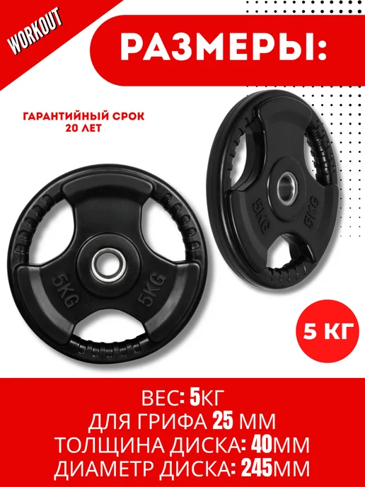 ALPIN Диск стальной обрезиненный 1.25 кг - комплект 2 шт, 5 кг, 1 шт, фото 3