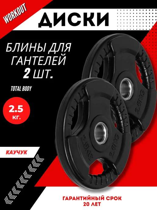 ALPIN Диск стальной обрезиненный 1.25 кг - комплект 2 шт, 2,5 кг, 2 шт, фото 2