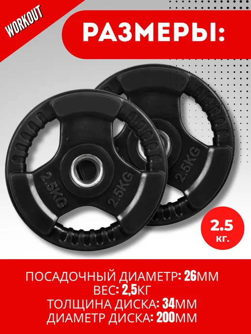 ALPIN Диск стальной обрезиненный 1.25 кг - комплект 2 шт, 2,5 кг, 2 шт, фото 3