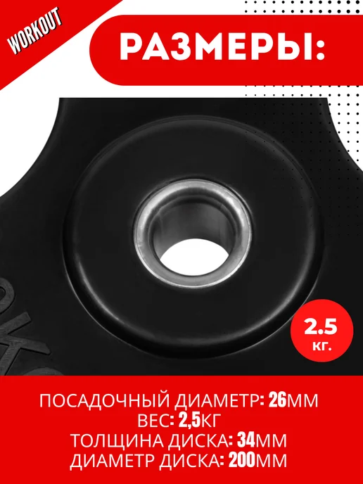 ALPIN Диск стальной обрезиненный 1.25 кг - комплект 2 шт, 2,5 кг, 2 шт, фото 4