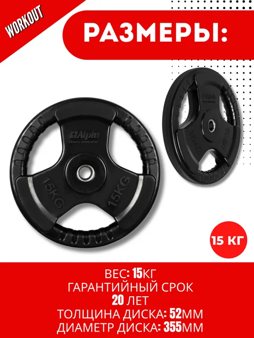 ALPIN Диск стальной обрезиненный 1.25 кг - комплект 2 шт, 15 кг, 1 шт, фото 3
