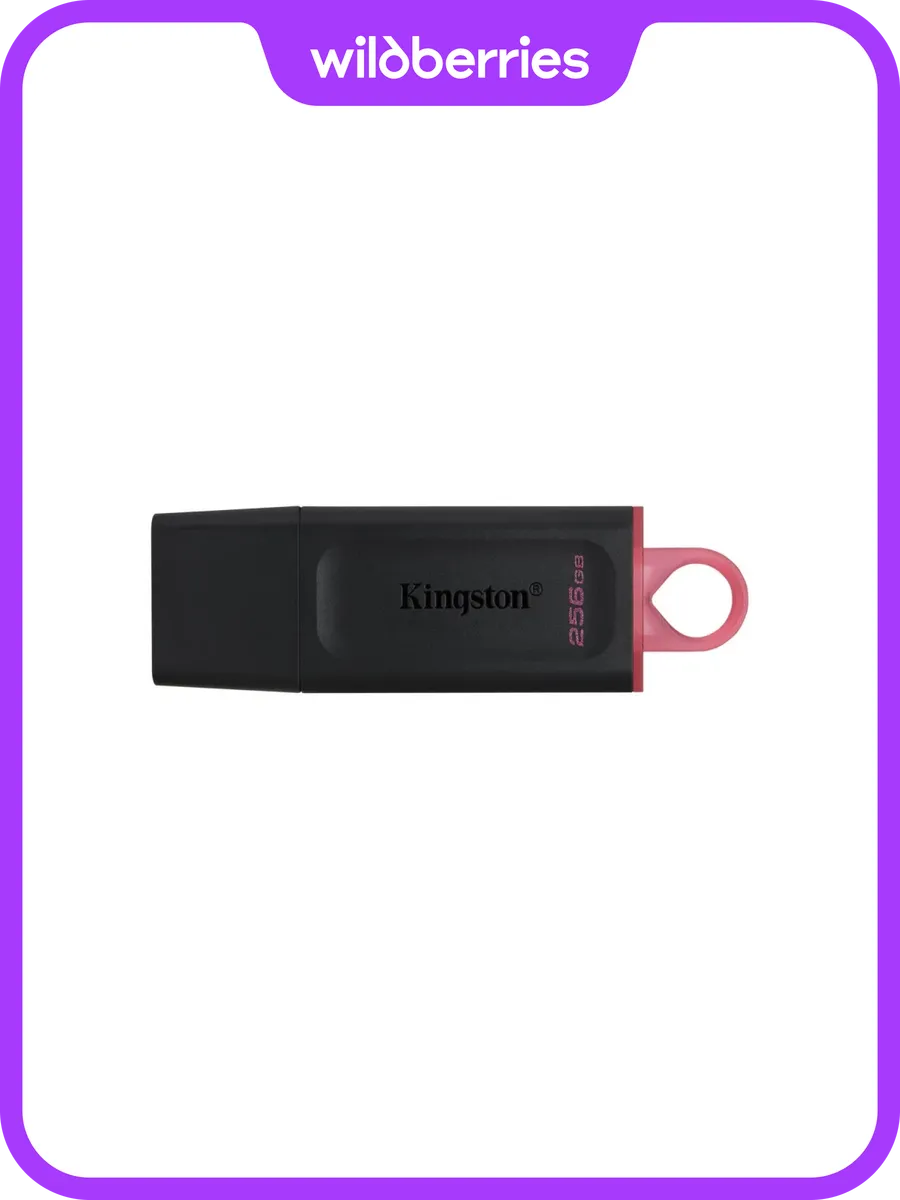 Флеш-накопитель 256 ГБ DataTraveler Exodia, USB 3.2 Gen 1 (DTX/256GB)