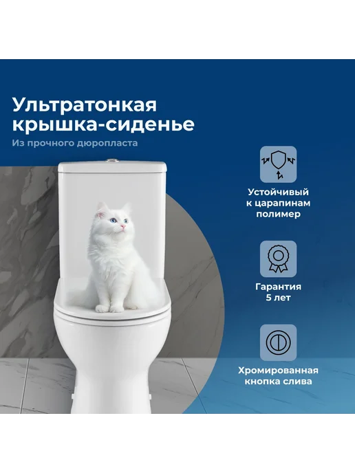 Aquanet Унитаз напольный (чаша) без бачка Ray-C, вариант, фото 4