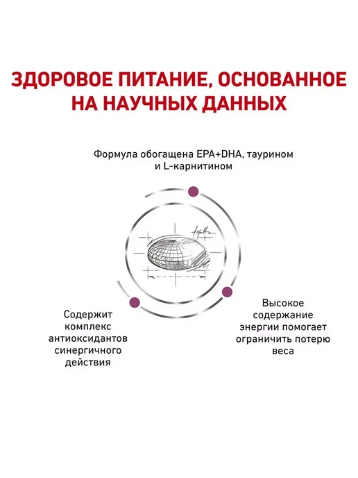 Сухой корм Royal canin Cardiac для собак, 2 кг, фото 3