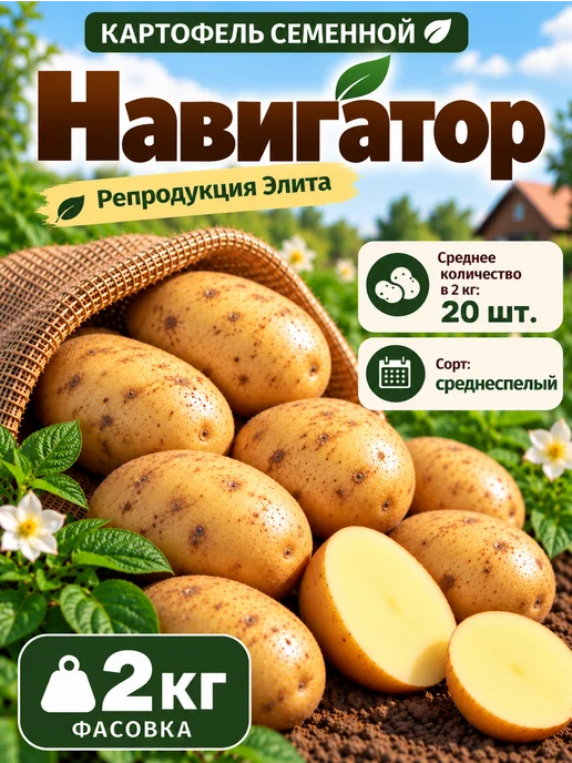Myfanza Картофель семенной Навигатор, 2 кг, 2 кг