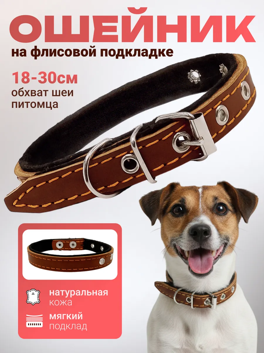 Ошейник для собак кожаный