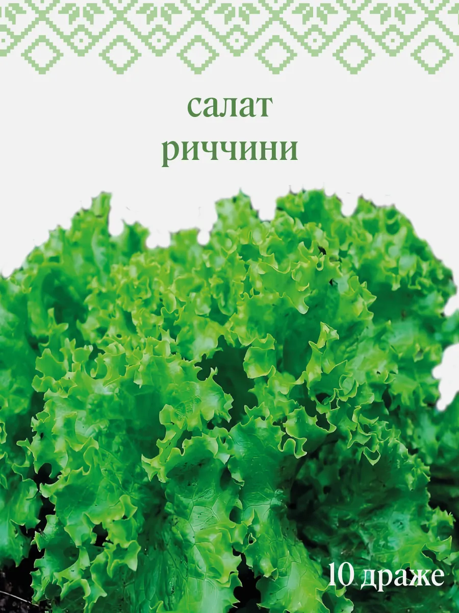 Семена салата Риччини