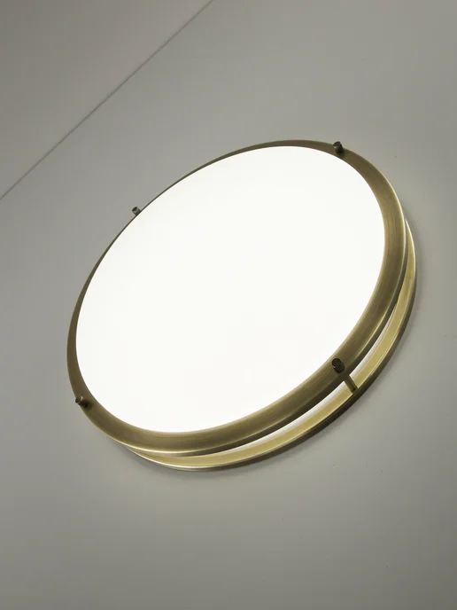 Citilux Люстра потолочная Бостон CL709503N, белый, фото 6
