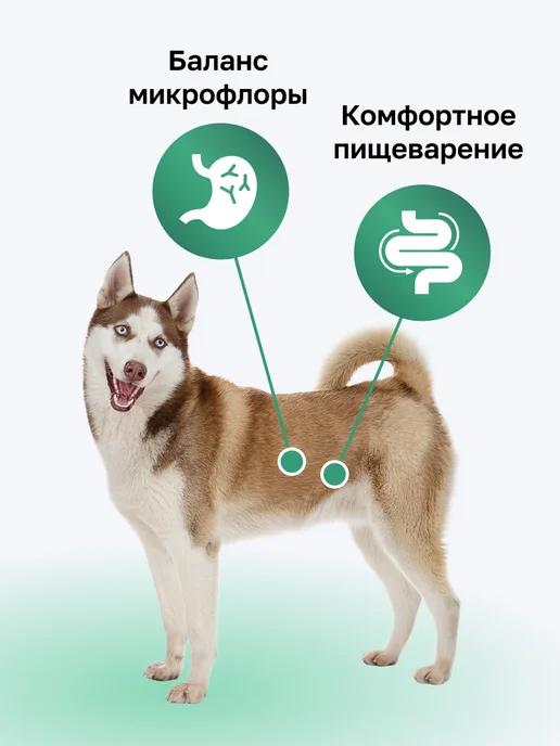 Сухой корм Organix Фруктами для собак, индейка, 20 кг, фото 2