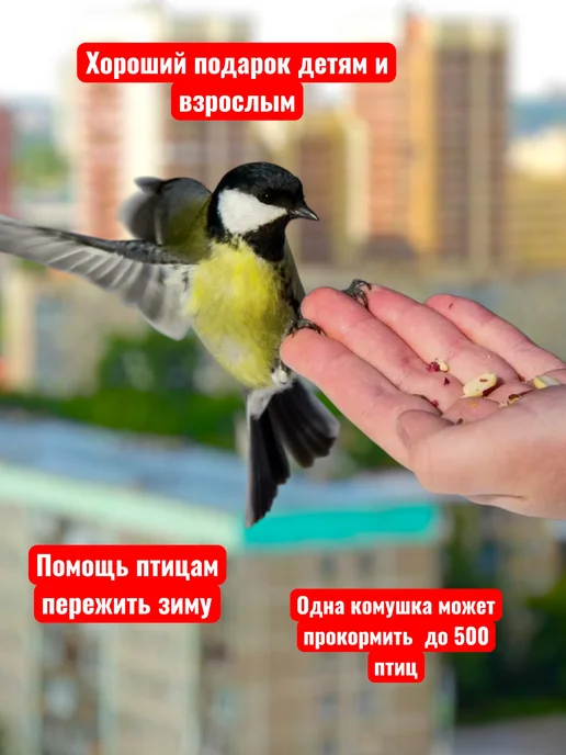 LVitone LViton Кормушка для птиц прозрачная антиголубь, ларец, белый, фото 7