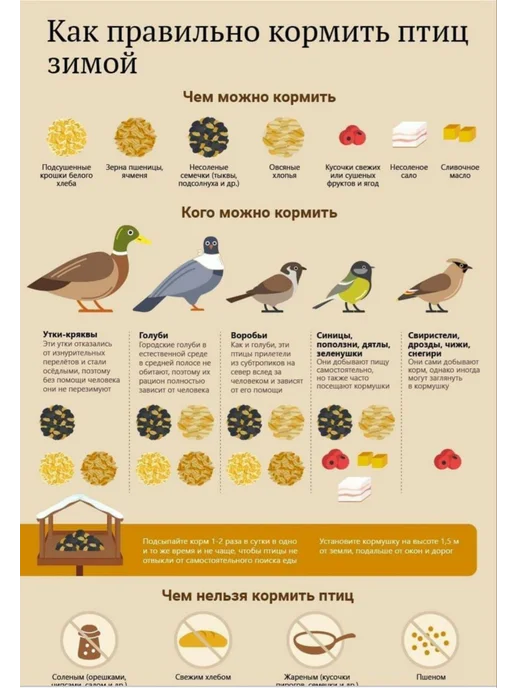 LVitone LViton Кормушка для птиц прозрачная антиголубь, ларец, белый, фото 8