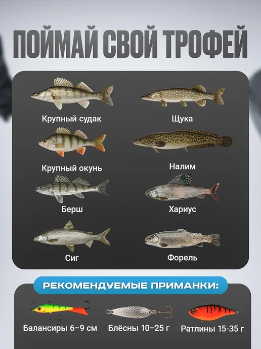 Рыбалка Life Катушка для удочки BD60R ORANGE под правую руку, синий, фото 7