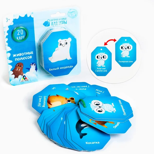 Карточки на кольце для игры «Животные полюсов»