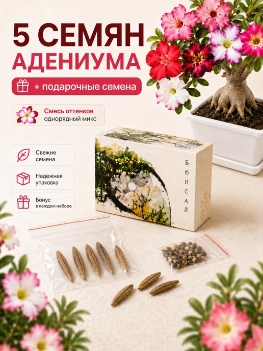 LWBW Набор для выращивания растений бонсай Адениум Обесум, вариант, фото 3