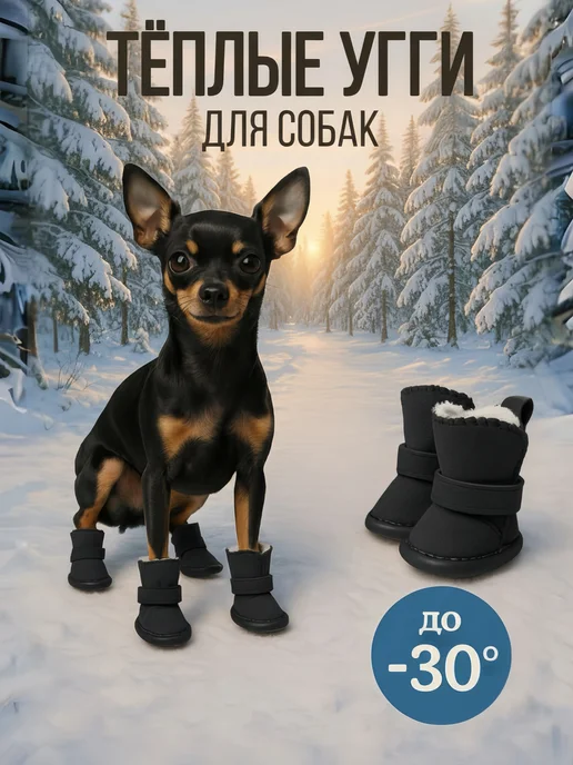 обувь для собак, черный