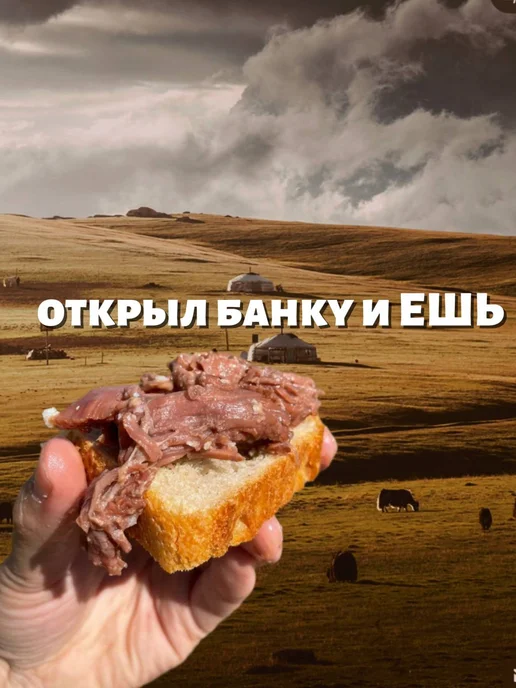 Великая степь Тушенка говядина Порядочная скотина 6 шт, 6 шт, фото 4