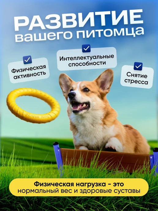 ZOOSHI Кольцо пуллер игрушка для собак мелких и средних пород, желтый, фото 4