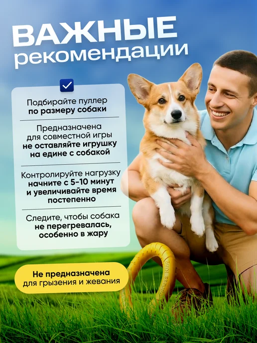 ZOOSHI Кольцо пуллер игрушка для собак мелких и средних пород, желтый, фото 5