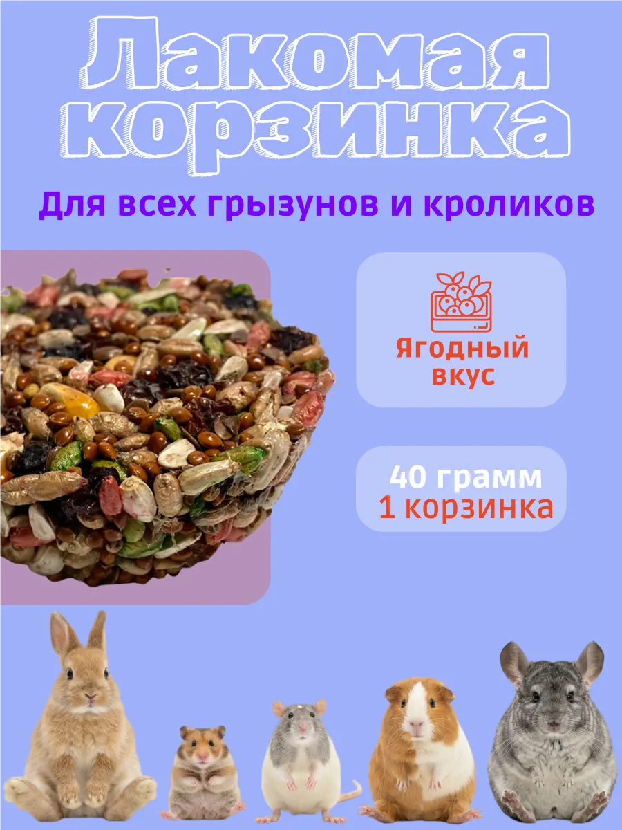 Лакомство для грызунов корзинка ягодная 40г
