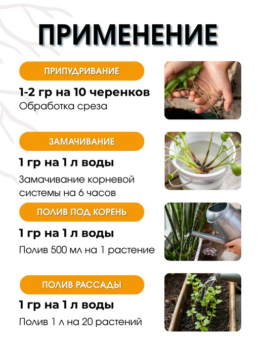 АГРОСИНТЕЗ Корневин стимулятор корнеобразования растений и черенков, вариант, фото 4