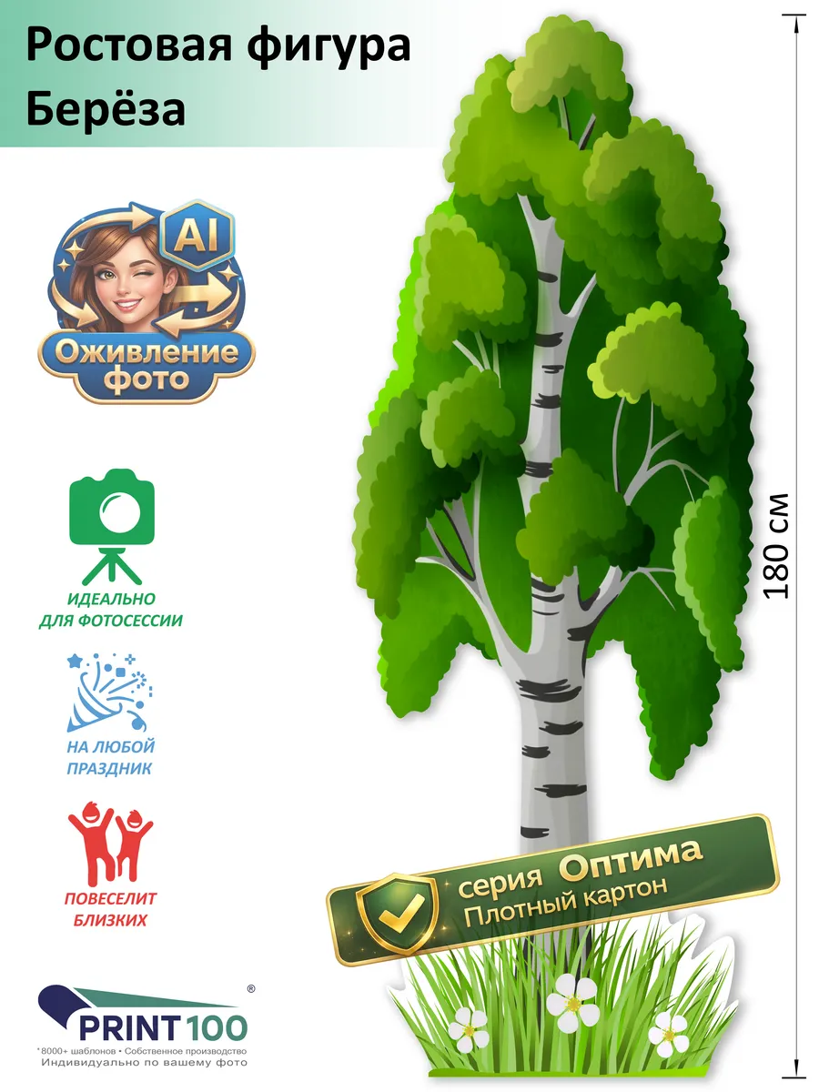 Береза вид 1 Ростовая фигура