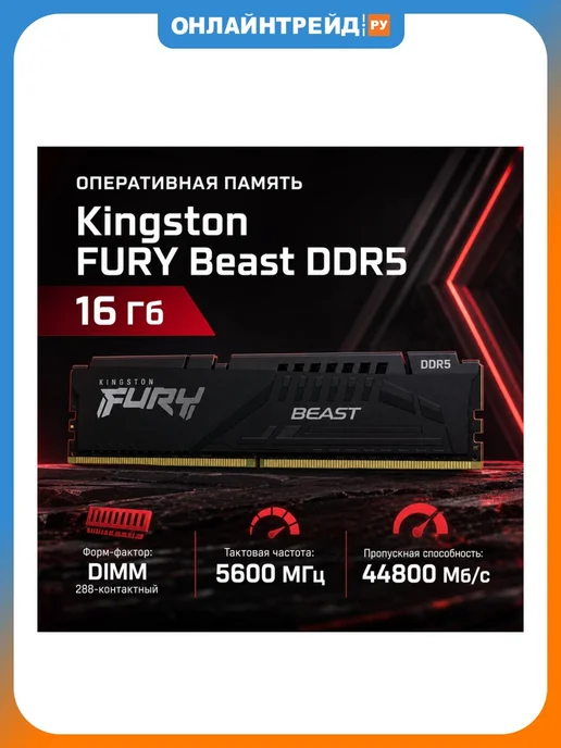 Kingston Память DDR5 16Gb FURY Beast Black EXPO (KF556C36BBE-16), 16 ГБ