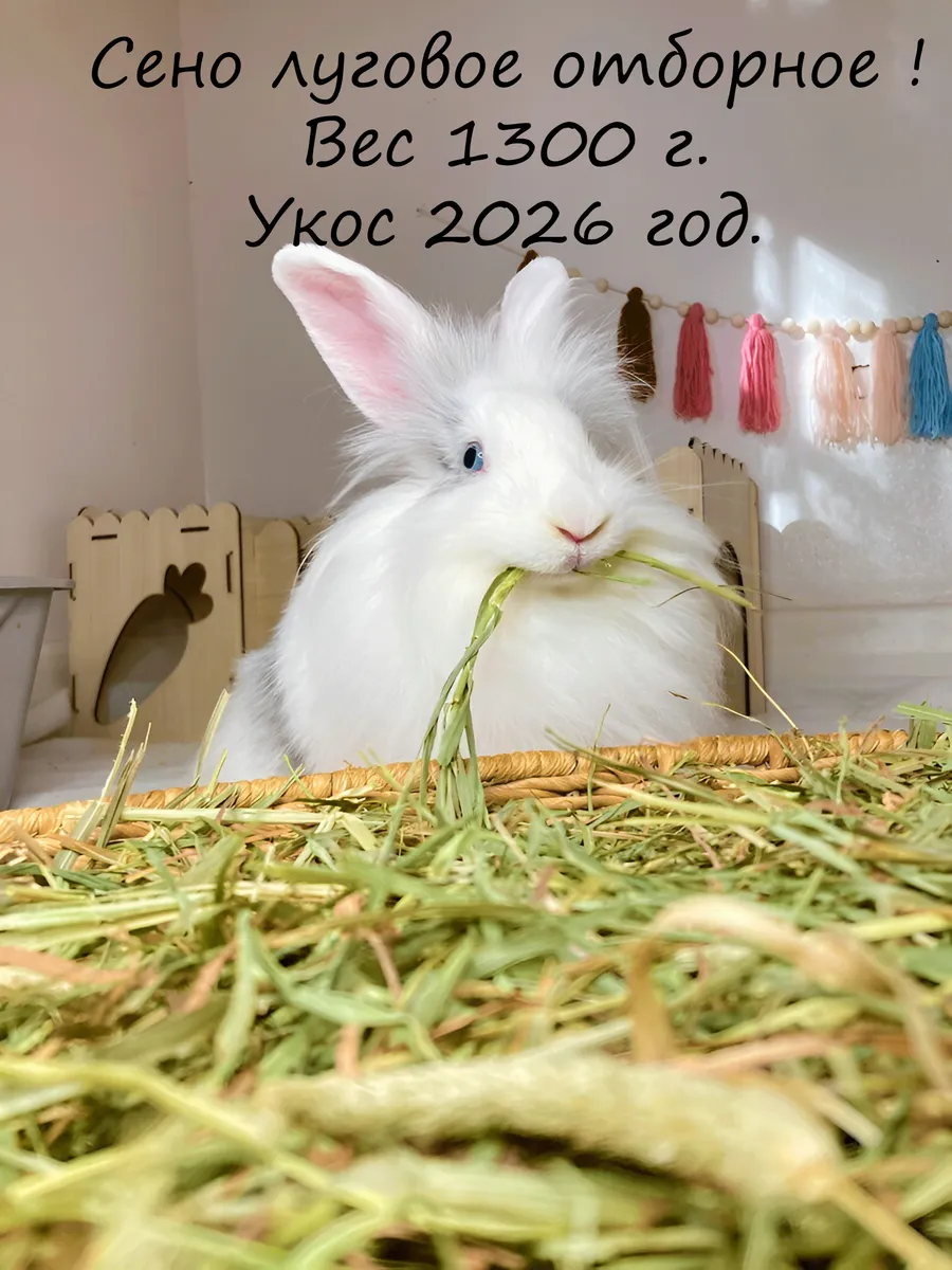Сено луговое 1300 гр